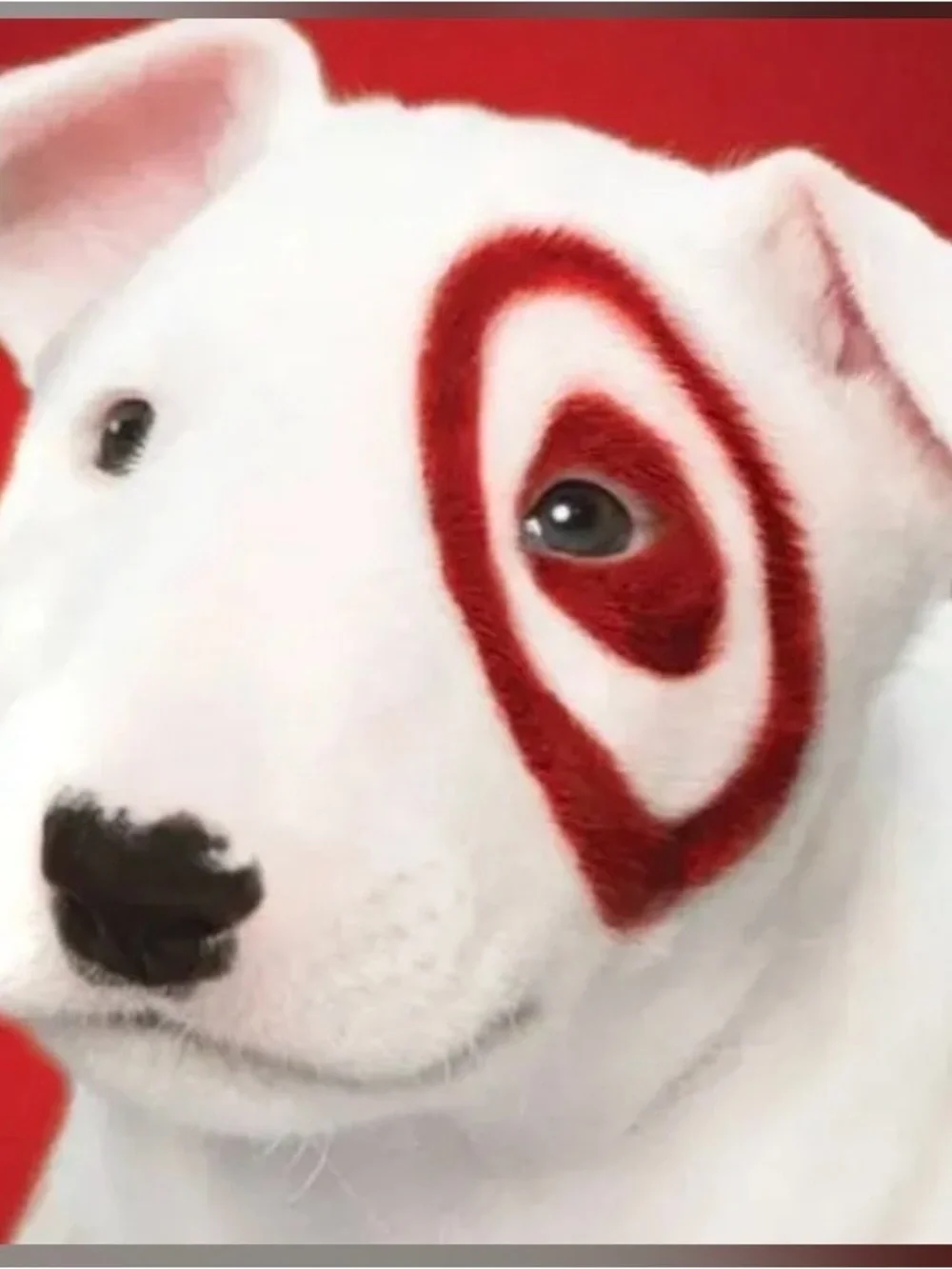 Universal Thread White Dog Plush with Red Eye Target Mark